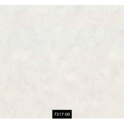 7217-00